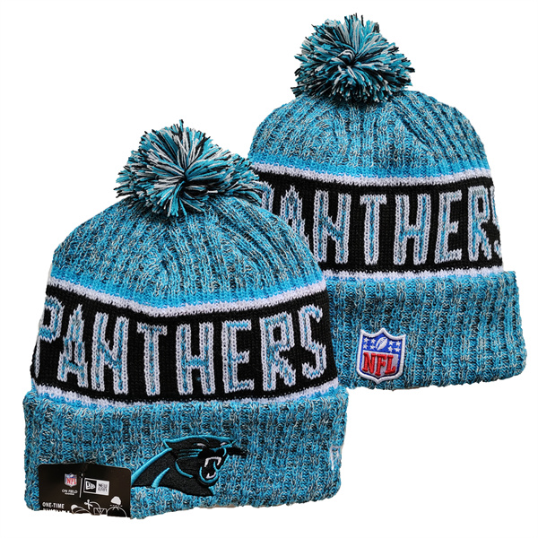 Carolina Panthers 2021 Knit Hats 020